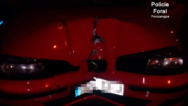 Estado en el que quedó el coche siniestrado en Dancharinea. POLICÍA FORAL