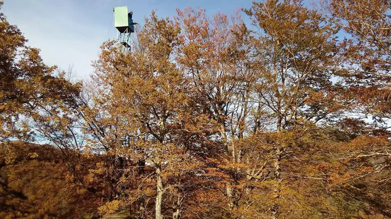Una palomera en Echalar ETXALARKO USATEGIAK