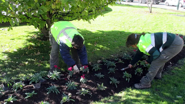 Trabajadores actúan sobre uno de los parterres de Pamplona. AYUNTAMIENTO DE PAMPLONA