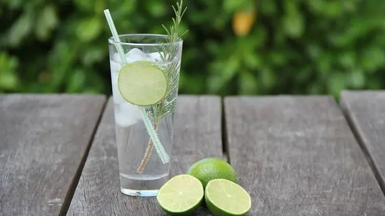 Un vaso con ginebra ARCHIVO