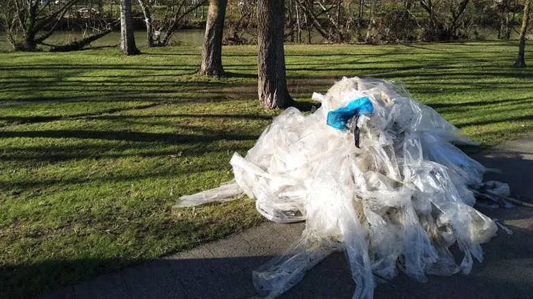 Plásticos y basura en las orillas del Arga en Pamplona (3) CEDIDA