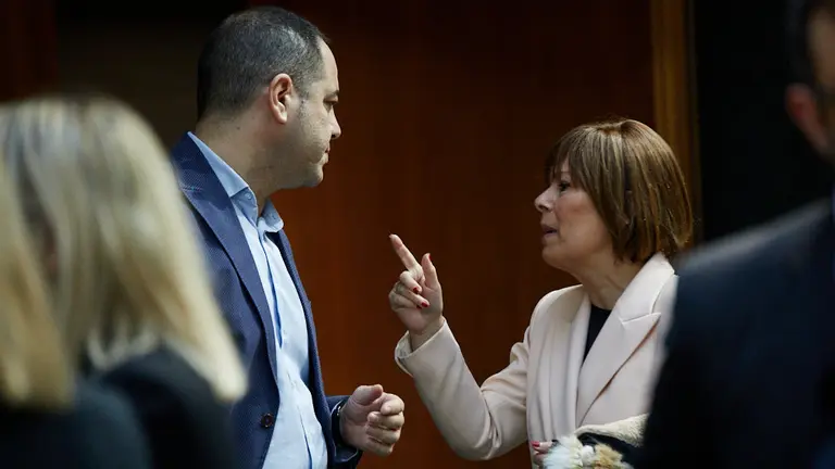 Último pleno del Parlamento de Navarra de 2019. IÑIGO ALZUGARAY