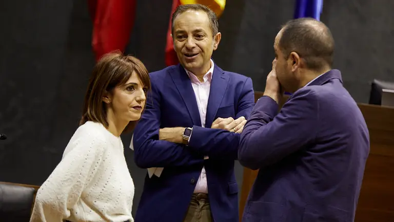 Último pleno del Parlamento de Navarra de 2019. IÑIGO ALZUGARAY