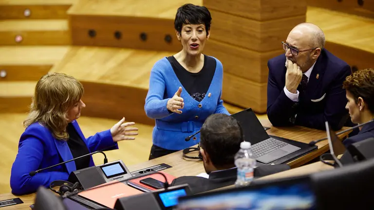 Último pleno del Parlamento de Navarra de 2019. IÑIGO ALZUGARAY
