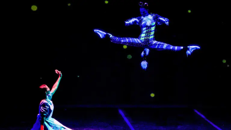 Espectáculo de Alicia en el País de las Maravillas que recala en Pamplona. CEDIDA