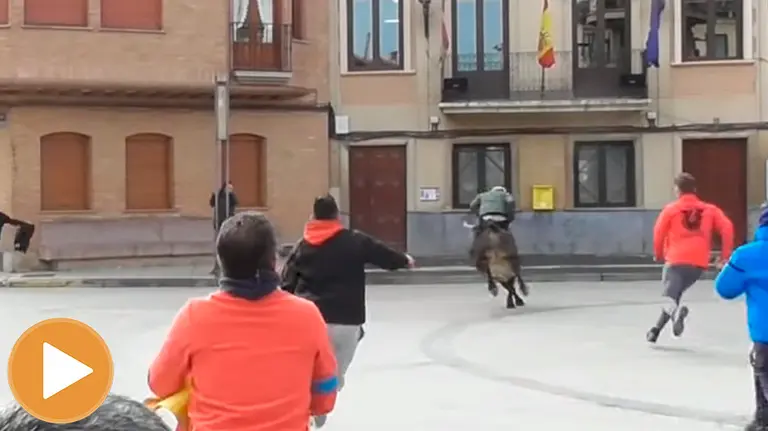Suelta de vaquillas en Aldeanueva de Ebro en la que resultó herido un navarro (player)