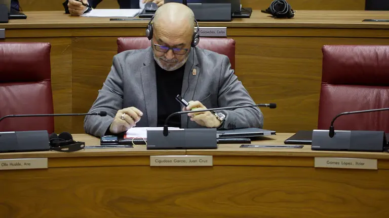 Primer pleno del Parlamento de Navarra de 2020. IÑIGO ALZUGARAY