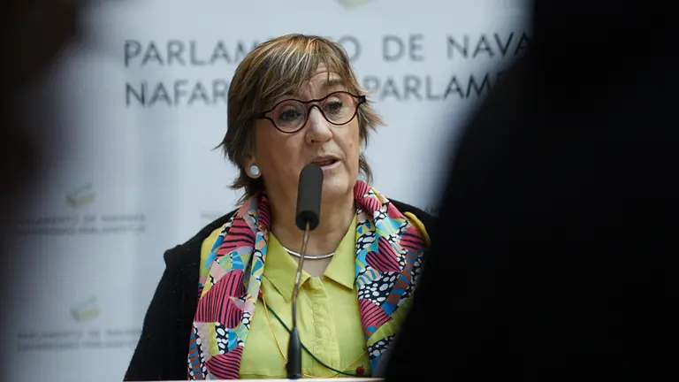 Pleno del Parlamento de Navarra. IÑIGO ALZUGARAY