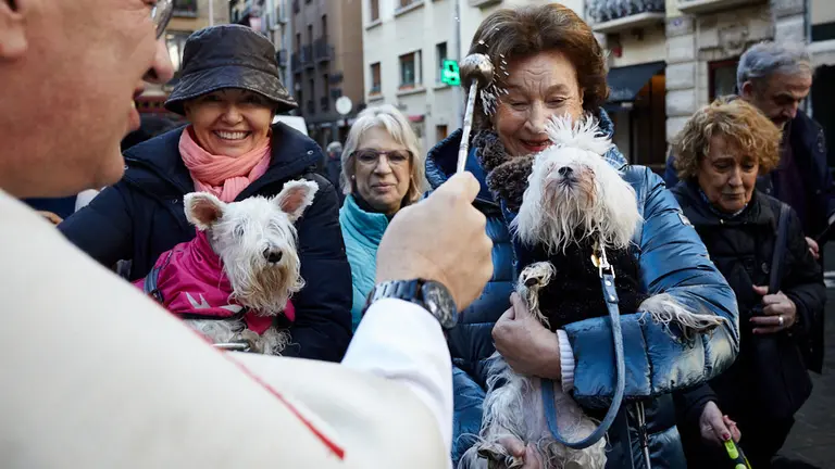 Bendición de animales por San Antón en la Plaza de San Nicolas de Pamplona. IÑIGO ALZUGARAY