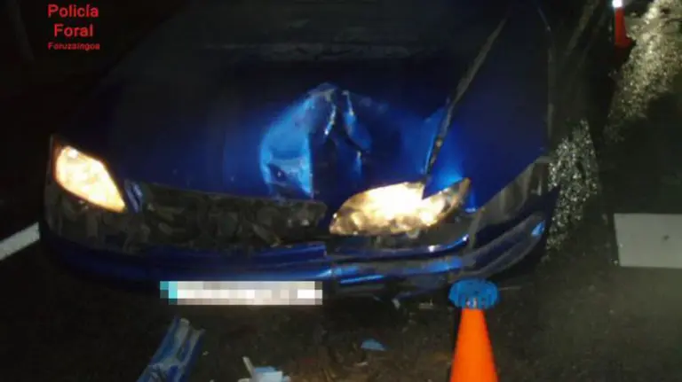 Una de las intervenciones realizadas por la Policía Foral este fin de semana POLICÍA FORAL