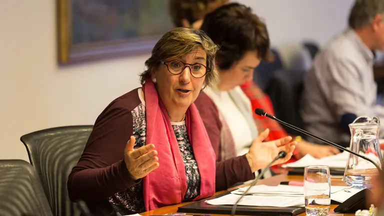 Comisión de Presidencia, Igualdad, Función Pública e Interior, con Marisa de Simón (I-E) (5) PARLAMENTO DE NAVARRA