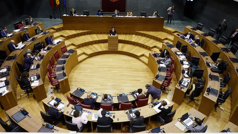 Pleno del Parlamento de Navarra. IÑIGO ALZUGARAY