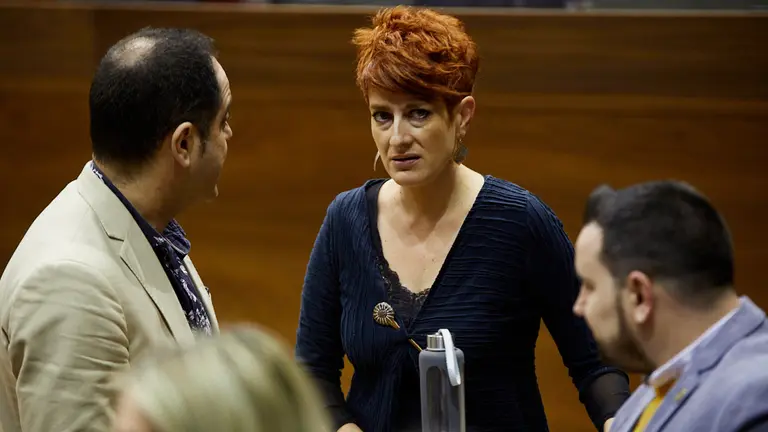 Pleno del Parlamento de Navarra. IÑIGO ALZUGARAY