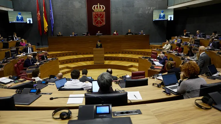 Pleno del Parlamento de Navarra. IÑIGO ALZUGARAY