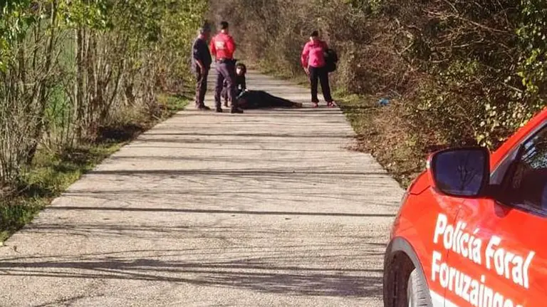 Ciclista herido en Esteribar. POLICÍA FORAL