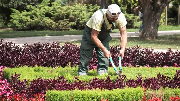 Imagen de archivo de un jardinero trabajando. ARCHIVO