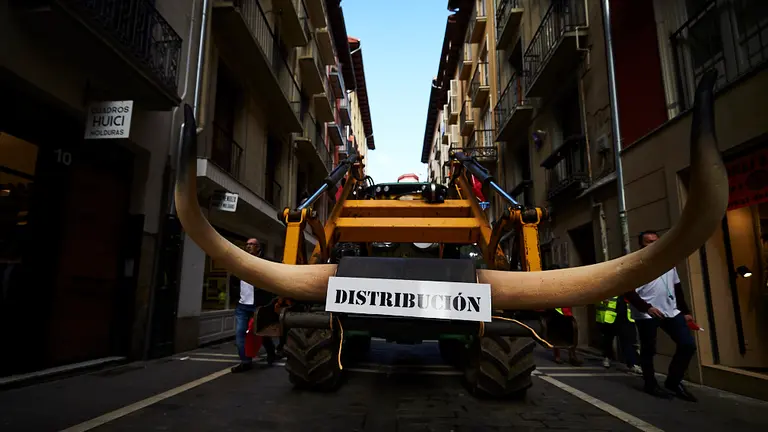 Cientos de agricultores y ganaderos de Navarra se manifiestan en Pamplona convocados por la UAGN y UCAN en defensa del sector agrario. PABLO LASAOSA