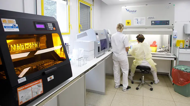 Campana para preparar la extracción de una muestra para PCR - coronavirus