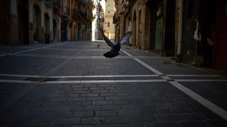 Las calles de Pamplona, tras el aumento en las restricciones del estado de alarma por el avance del coronavirus. MIGUEL OSÉS