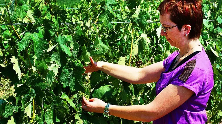 La Enóloga Isabel López de Murillas. Cedida.