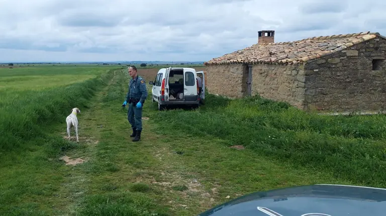 Denuncia de un cazador en Navarra GUARDIA CIVIL