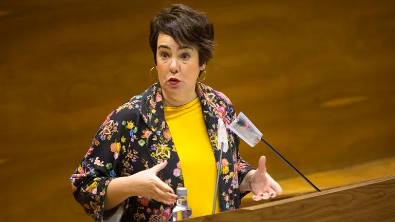 Pleno del parlamento de Navarra durante la crisis del coronavirus celebrado el 21 de abril de 2020 (8)