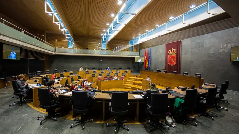 Pleno del parlamento de Navarra durante la crisis del coronavirus celebrado el 21 de abril de 2020 (10)