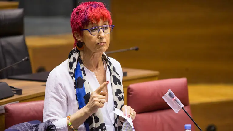 Pleno del parlamento de Navarra durante la crisis del coronavirus celebrado el 21 de abril de 2020 (11)