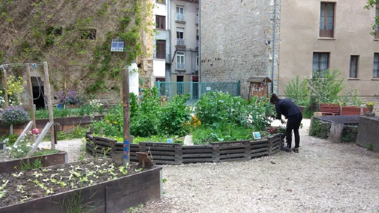 Huerto urbano del Casco Antiguo. AYUNTAMIENTO DE PAMPLONA