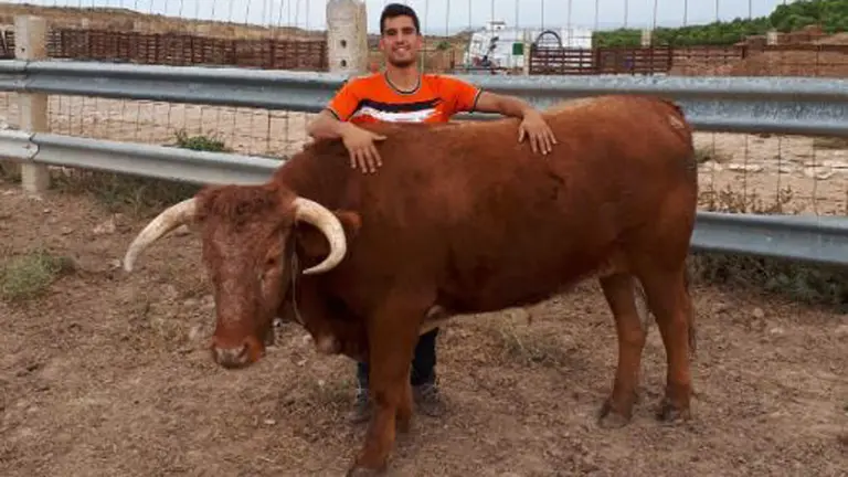 Alberto Gracia junto a una se sus reses. CEDIDA