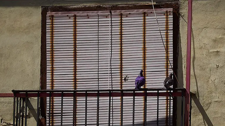 Unas palomas se posan en la barandilla de un balcón en la Plaza del Castillo de Pamplona en el segundo día de desconfinamiento de las medidas adoptadas por el Gobierno de España según el Estado de Alarma por COVID-19. En Pamplona, Navarra, a 3 de mayo de 2020.

Unas palomas se posan en la barandilla de un balcón en la Plaza del Castillo de Pamplona en el segundo día de desconfinamiento de las medidas adoptadas por el Gobierno de España según el Estado de Alarma por COVID-19. En Pamplona, Navarra, a 3 de mayo de 2020.


3/5/2020