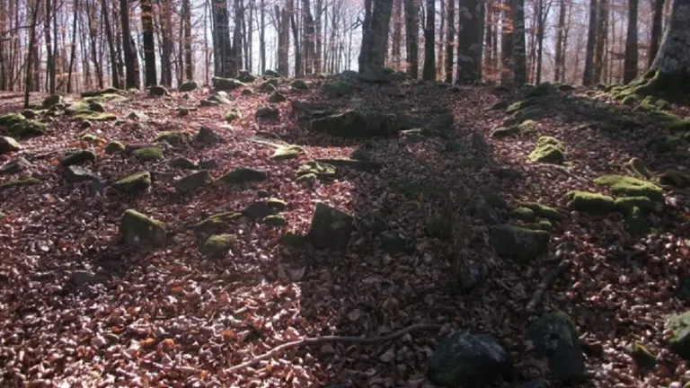Dolmen Fagomendi en Echarri Aranaz que ha sido dañado por maquinaria pesada que hacía trabajos forestales. AYUNTAMIENTO ECHARRI ARANAZ