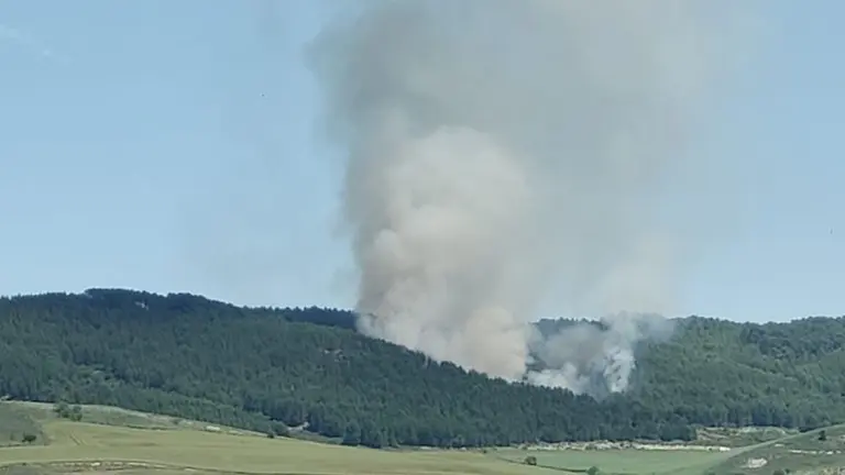 Incendio forestal en Los Arcos. CEDIDA
