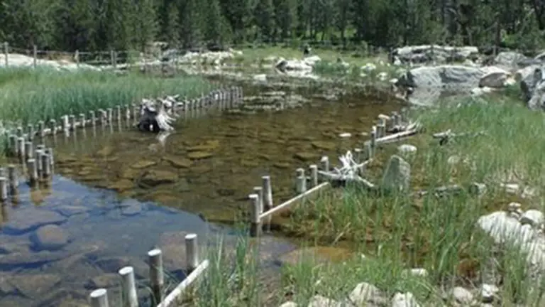 Una turbera restaurada en un parque nacional de Lleida. Europa Press.