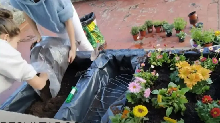 Creaci&oacute;n de las terrazas electroverdes del colegio Liceo Monjard&iacute;n de Pamplona.