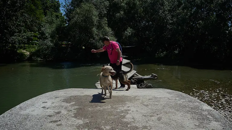 Un hombre pasea con su perro en las inmediaciones del río Arga durante la Fase 2 de la desescalada en Pamplona, cuando se permite el baño en ríos y riachuelos, siempre y cuando se cumplan las medidas para preservar la salud y la seguridad, donde la distancia a guardar tanto en la orilla como en el agua debe ser de dos metros. En Pamplona, Navarra (España), a 29 de mayo de 2020.

29 MAYO 2020;RIO ARGA;PAMPLONA;NAVARRA;FASE 2;DESESCALADA;COVID19

29/5/2020