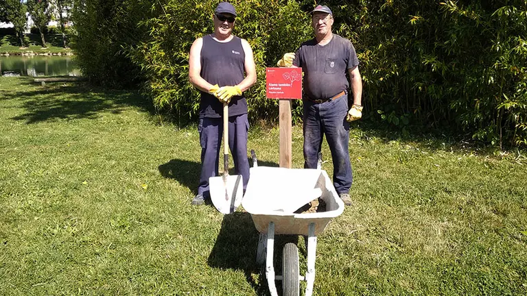Termina en Mendillorri un proyecto de educación ambiental con la colocación de señalización de árboles y arbustos. CEDIDA