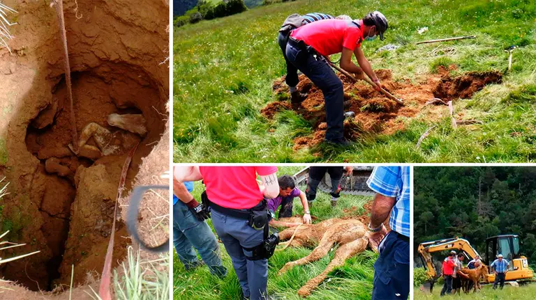 Rescate de un potro caído en una sima en Isaba (6) POLICÍA FORAL