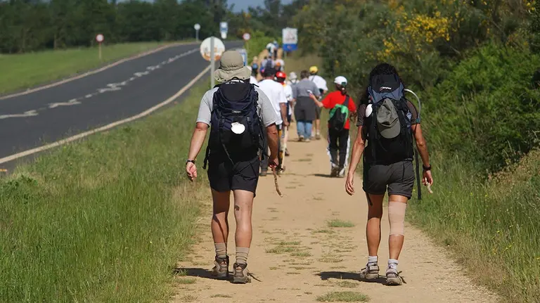 Peregrinos haciendo el Camino de Santiago de Compostela - EUROPA PRESS - Archivo.