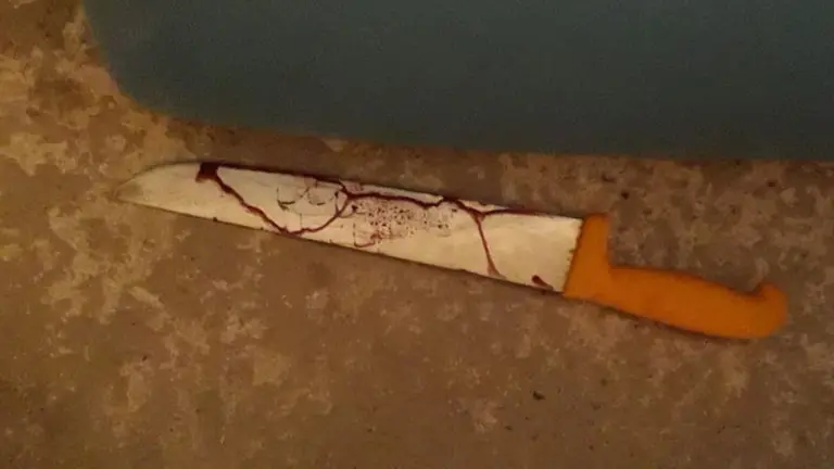 Cuchillo empleado por el detenido en Ablitas POLICÍA FORAL