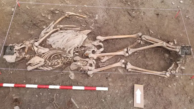 Restos de dos maquis recuperados en Castillonuevo GOBIERNO DE NAVARRA