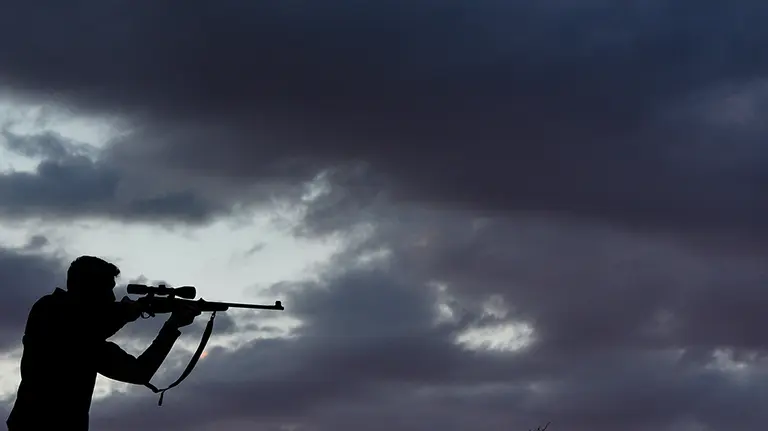 Un cazador en una jornada de caza. EUROPA PRESS