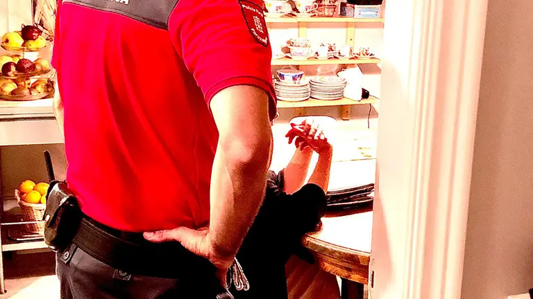 Detenido por un presunto abuso sexual en Huarte. POLICÍA FORAL