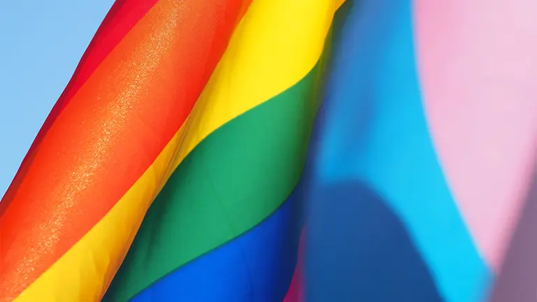 Bandera LGBT​ o bandera del arcoíris