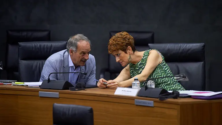 Los miembros de Eh Bildu, Adolfo Araiz y Bakartxo Ruiz, durante el pleno del parlamento. MIGUEL OSÉS