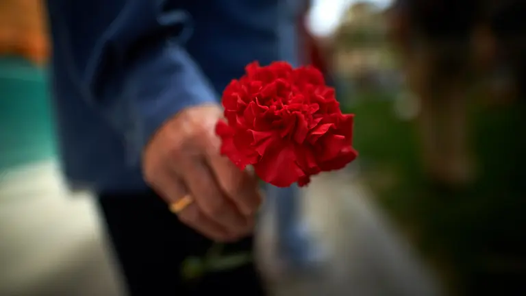 Con el lema "Claveles para Germán, Juicio para Martín Villa", la iniciativa Sanfermines 78 gogoan! homenajea a Germán Rodríguez, Joseba Barandiaran y todas las personas que resultaron heridas en los Sanfermines de 1978. MIGUEL OSÉS