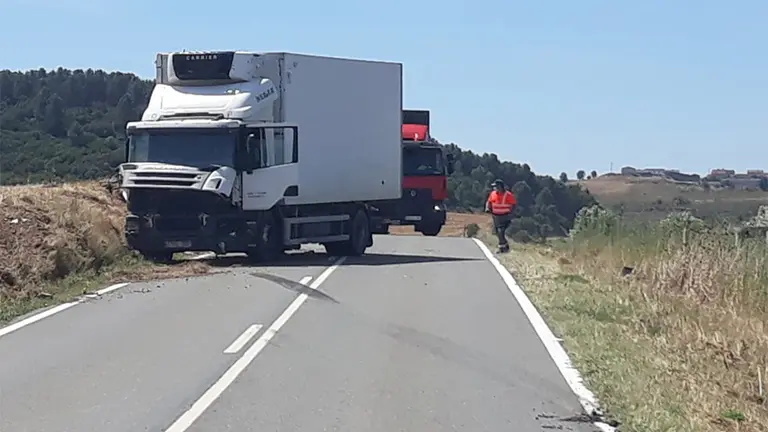 Un camión se sale de la vía en el kilómetro 19,9 de la NA601. POLICÍA FORAL
