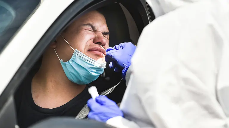 17 July 2020, US, Rock Island: A health worker takes a swab from a man in his car for coronavirus PCR tests at a coronavirus testing mobile facility in the parking lot of the QCCA Expo Center. Photo: Meg Mclaughlin/Dispatch Argus via ZUMA Wire/dpa
ONLY FOR USE IN SPAIN

17 July 2020, US, Rock Island: A health worker takes a swab from a man in his car for coronavirus PCR tests at a coronavirus testing mobile facility in the parking lot of the QCCA Expo Center. Photo: Meg Mclaughlin/Dispatch Argus via ZUMA Wire/dpa

17/7/2020 ONLY FOR USE IN SPAIN