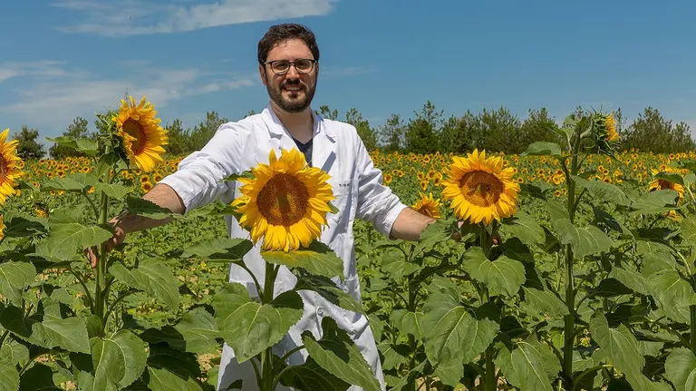 La tesis del doctor David de Hita en la Universidad de Navarra investiga cómo mejorar la producción de los cultivos. UNAV