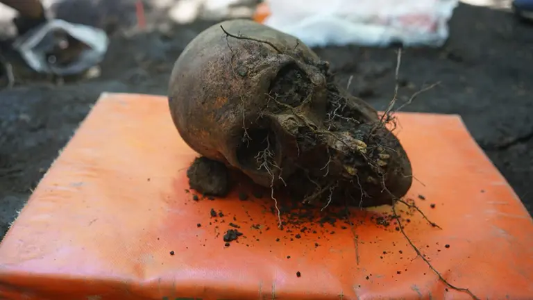 Restos de un cuerpo enterrado en una fosa común en Goldáraz. GOBIERNO DE NAVARRA